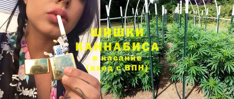 Каннабис White Widow  что такое наркотик  Дубовка 